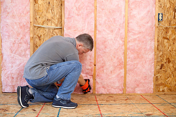 Types of Insulation We Offer in East Valley, NV